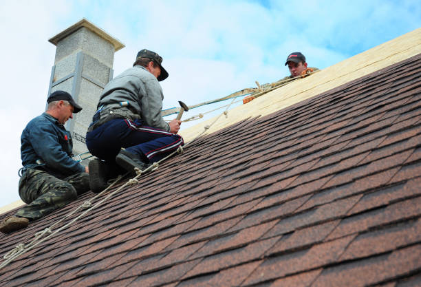 Best Flat Roof Repair Services  in Mckee City, NJ