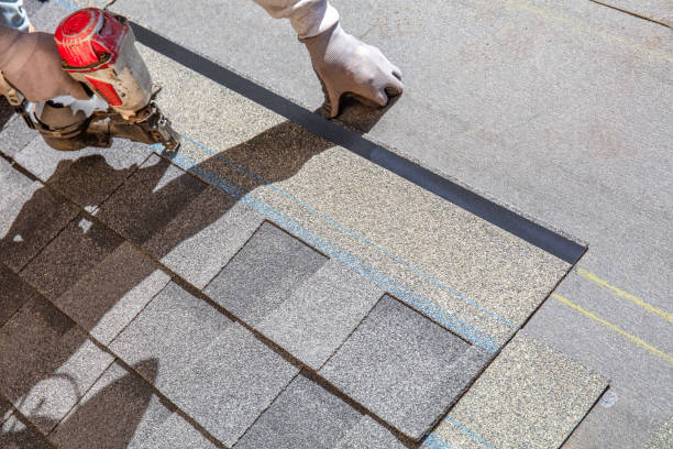 Best Shingle Roofing Installation  in Mckee City, NJ